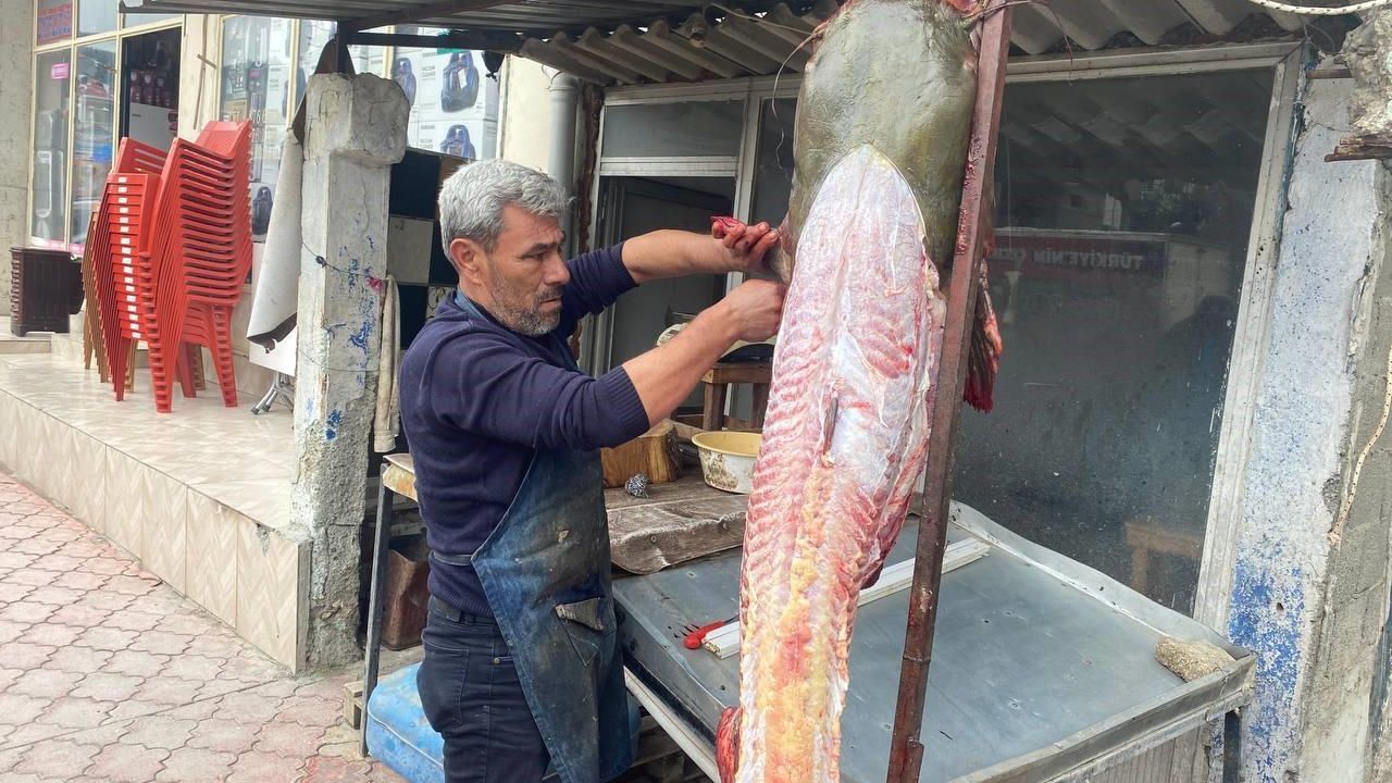 Osmaniyeli balıkçıya 37 bin TL’lik yayın balığı piyangosu
