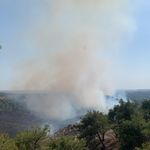 GÜNCELLEME - Adana'nın Sarıçam ilçesinde çıkan orman yangını kontrol altına alındı