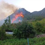 GÜNCELLEME - Hatay Kırıkhan'da çıkan orman yangını kontrol altına alındı