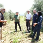 Eren Vural Ellek’te Zeytinleri İnceledi