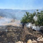 Alanya'da tarım alanında çıkan yangın söndürüldü
