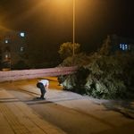 Çorum’da Devrilen Ağaç Araçların Üzerine Düştü
