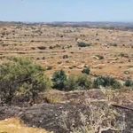 Hatay Defne’de Makilik Alan Yangını Kısa Sürede Söndürüldü