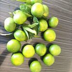 Hatay’da Mandalina Hasadı Başladı Çiftçi Fiyat Bekliyor?