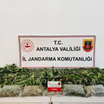 Alanya'da uyuşturucu operasyonunda 1 şüpheli yakalandı
