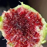 Osmaniye