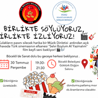 Düziçi