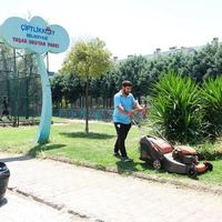 Yalova