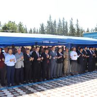 Hatay