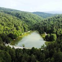 Doğa