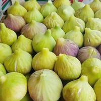 Osmaniye