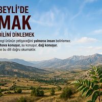 Adana
