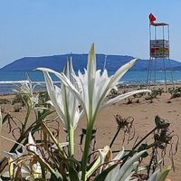 Doğa