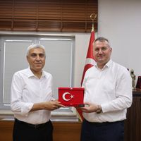 Düziçi