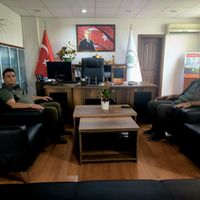 Mersin