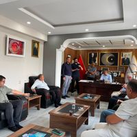 Düziçi