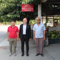 Hatay