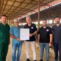 Hatay
