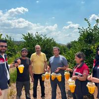 Osmaniye