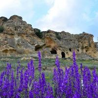 Doğa