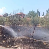 Hatay