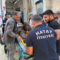 Hatay