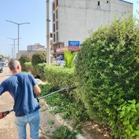 Hatay