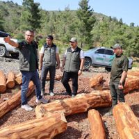 Hatay