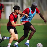 Spor