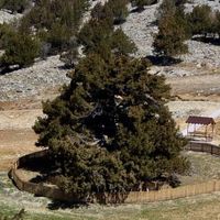 Doğa