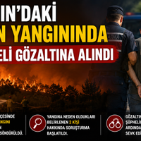 Aydın
