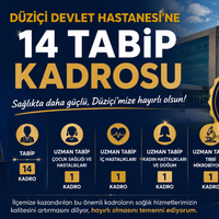 Düziçi