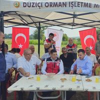 Düziçi