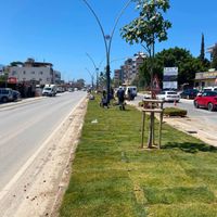 Hatay