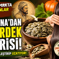 Yaşam