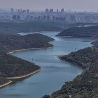 Yaşam