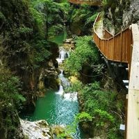 Doğa