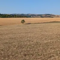 Dünya