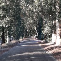 Doğa