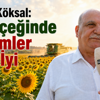 Düziçi