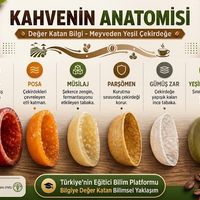 Bilim