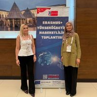 Diyarbakır