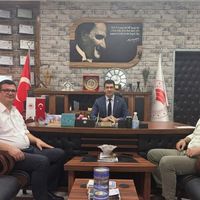 Düziçi