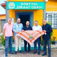 Hatay