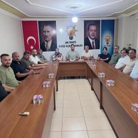 Düziçi
