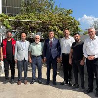 Hatay