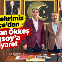 Düziçi