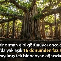 Dünya