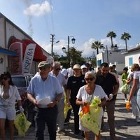 Hatay