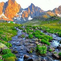 Rize
